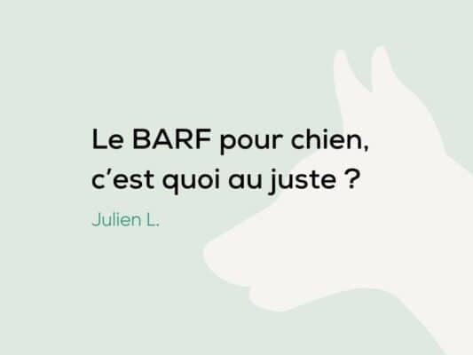 Le BARF pour chien, Bon ou mauvais pour la santé de mon chien ?