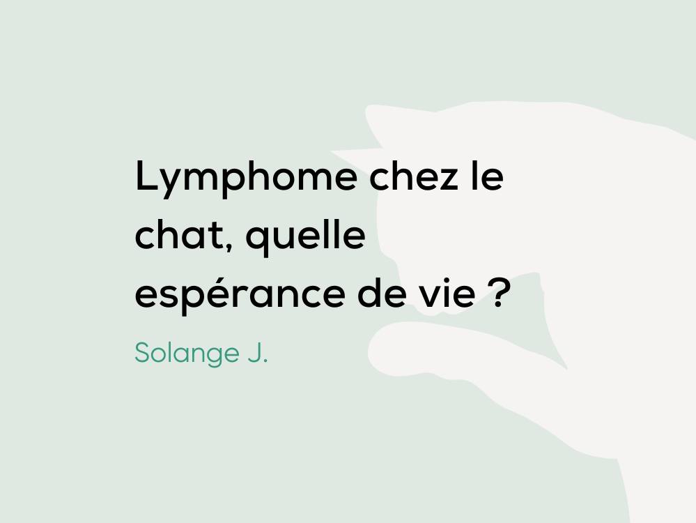 Lymphome chez le chat, quelle espérance de vie ? Botaneo