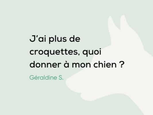 J'ai plus de croquettes, quelle nourriture donner à mon chien ?