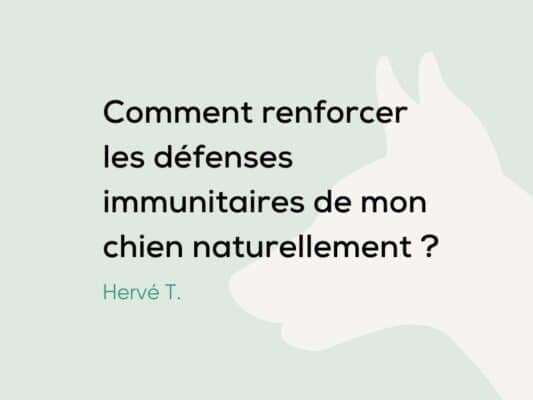 Comment renforcer les défenses immunitaire de mon chien naturellement ?