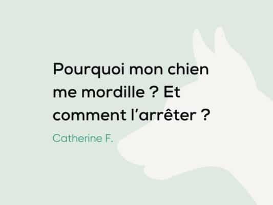 Pourquoi mon chien me mordille ? Est-ce grave ?