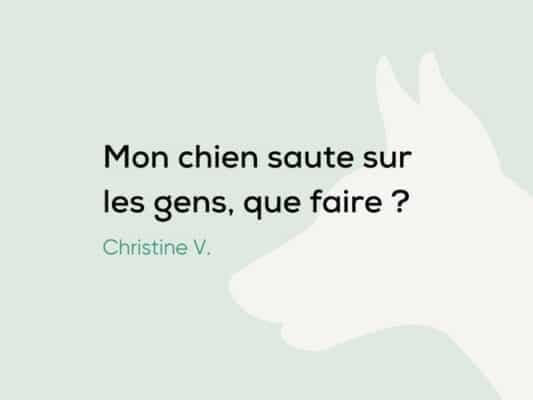 Mon chien saute sur les gens, causes et solutions ?