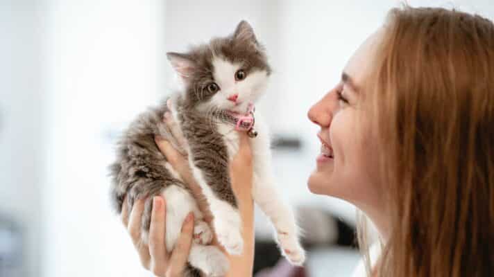 Veterinaire première visite pour un chaton