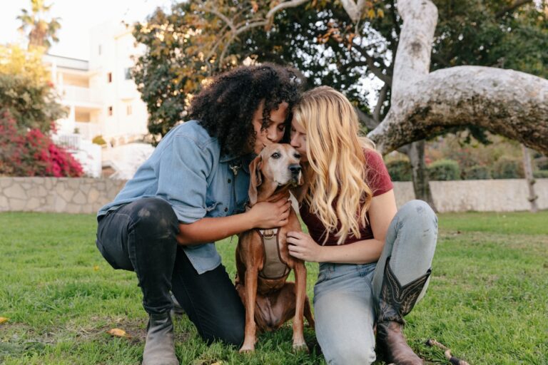 Laisser son chien seul (sans stress) 10 Conseils Botaneo
