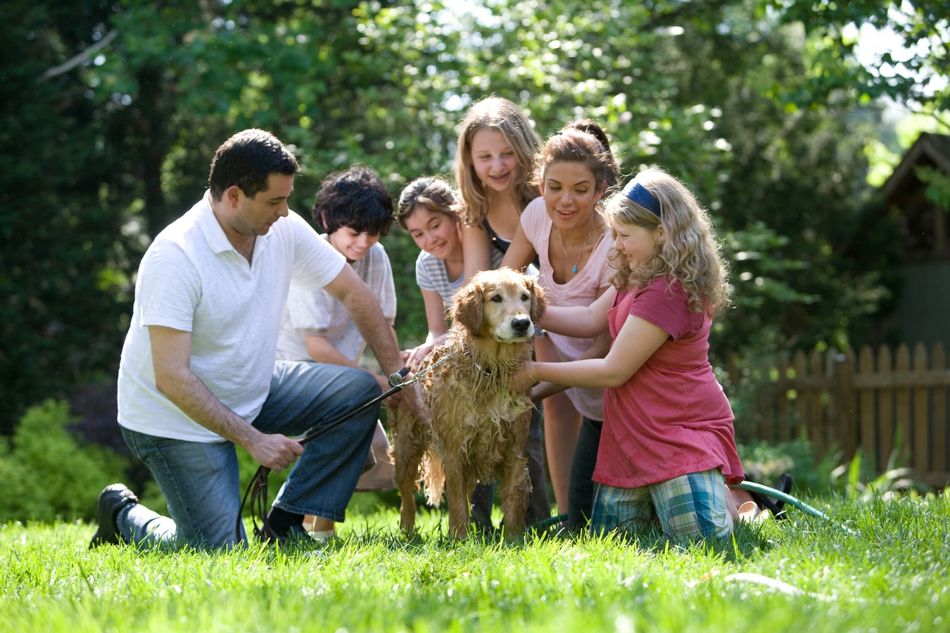 Comment convaincre ses parents d'avoir un chien ? – Botaneo