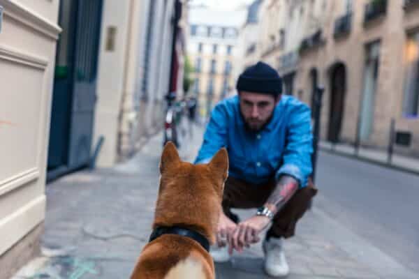 Lieu promenade paris chien