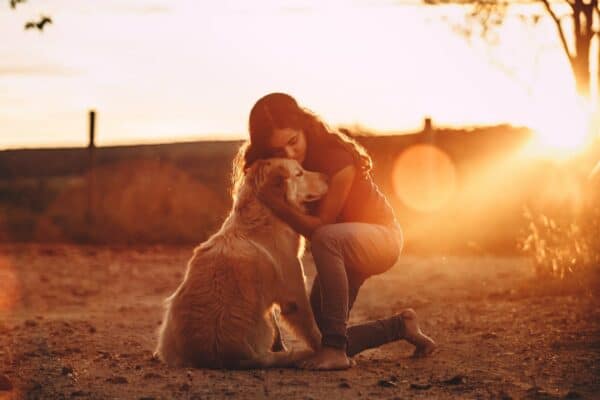 chien et fille calin couché craintif apprivoiser de soleil campagne labrador