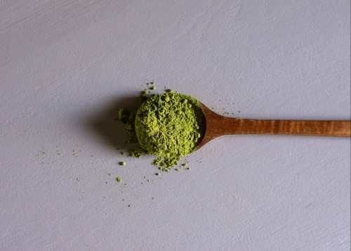 cuillère d'argile verte pour chien