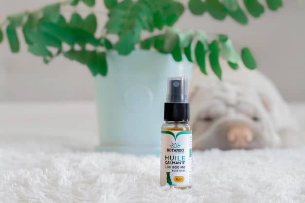 huile CBD pour chien