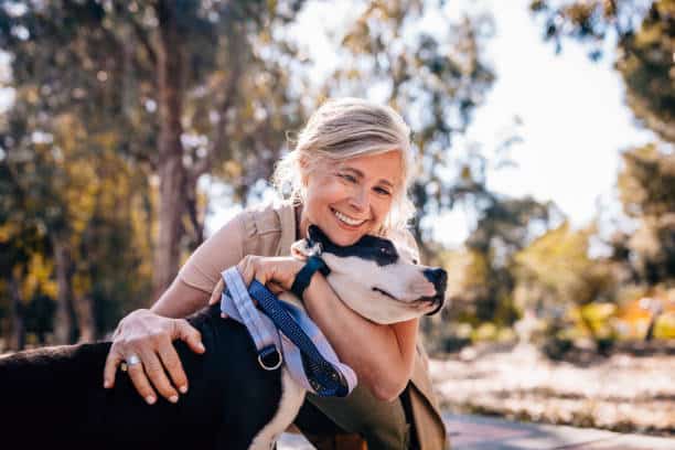 7 remèdes naturels anti-tique pour chien – Botaneo