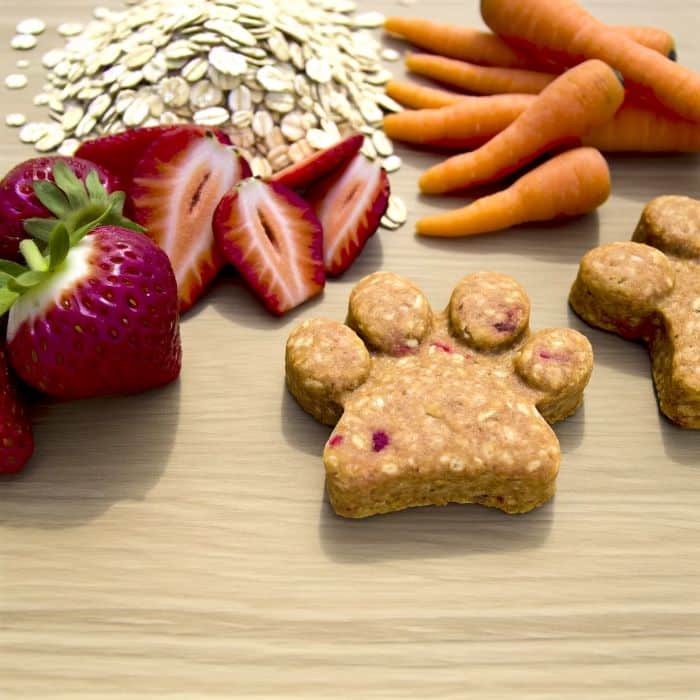 recette chien juin