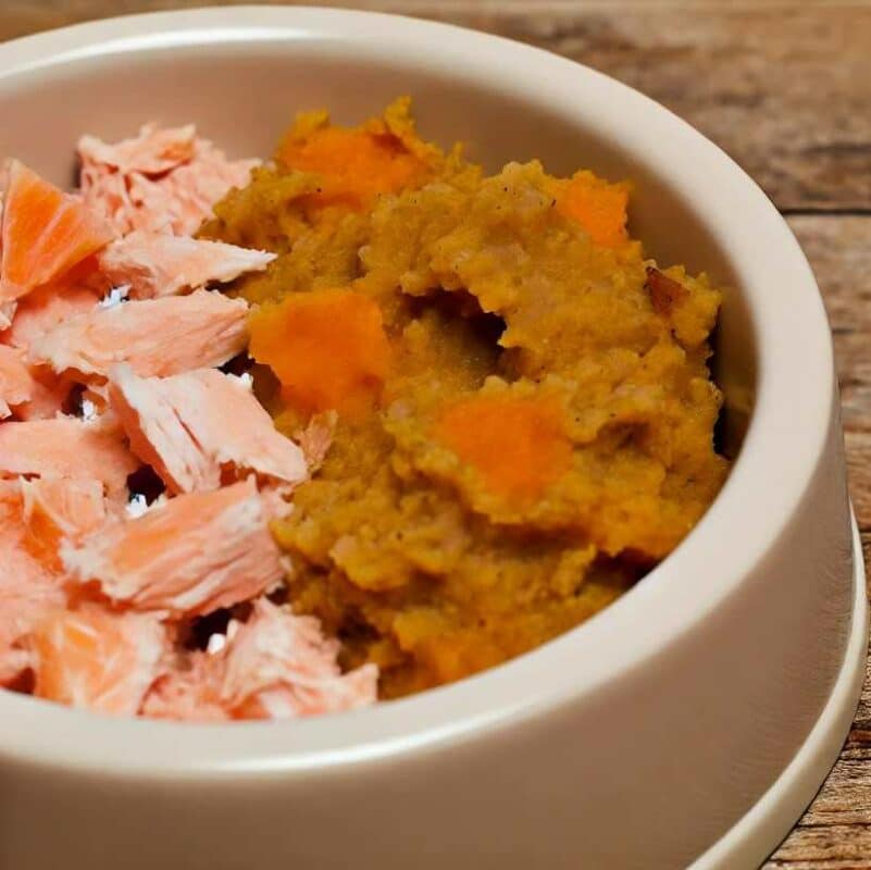 recette chien agé