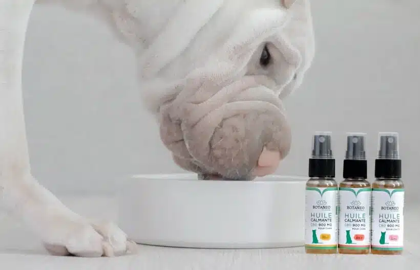 Gamme Huiles Botaneo Banner